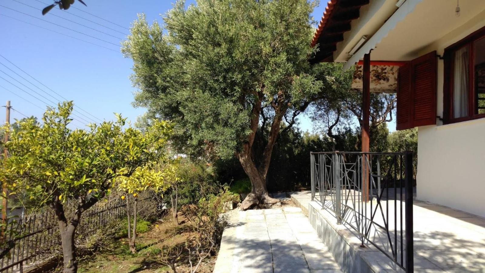 Gerakina Beach Cottage プサコウディア エクステリア 写真